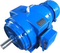 Электродвигатель 5АНК 250М4